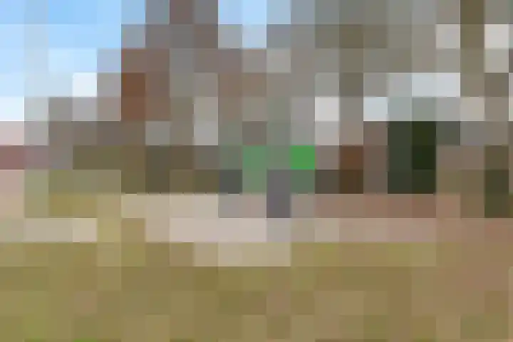 Rieger 6 Ureterp thumbnail 48