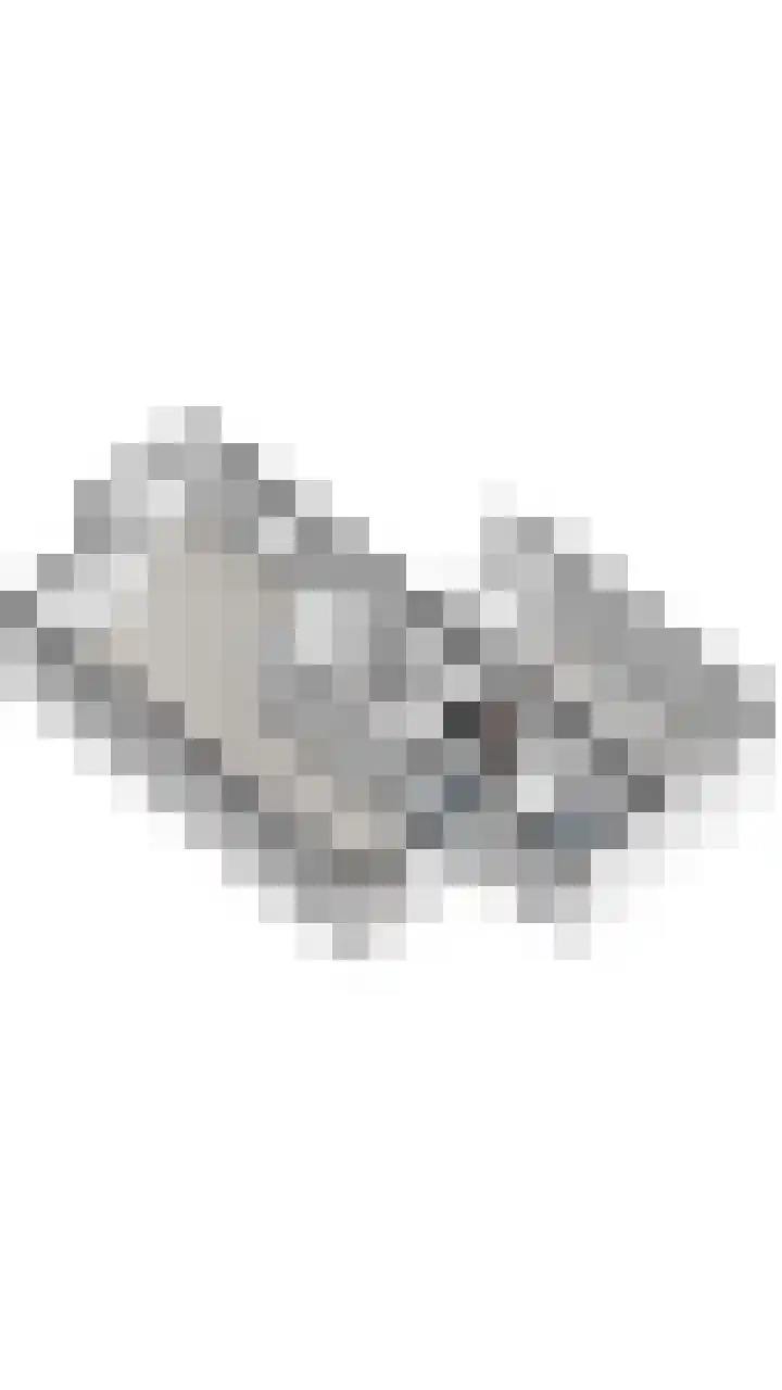 Rieger 6 Ureterp thumbnail 6