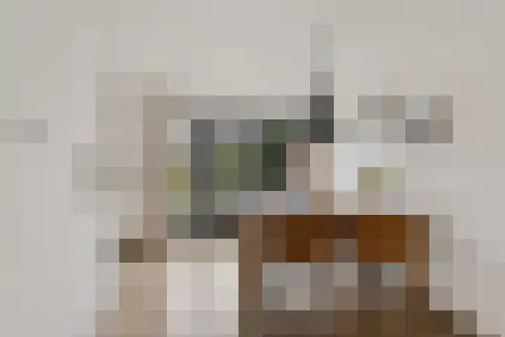 Rieger 6 Ureterp thumbnail 8
