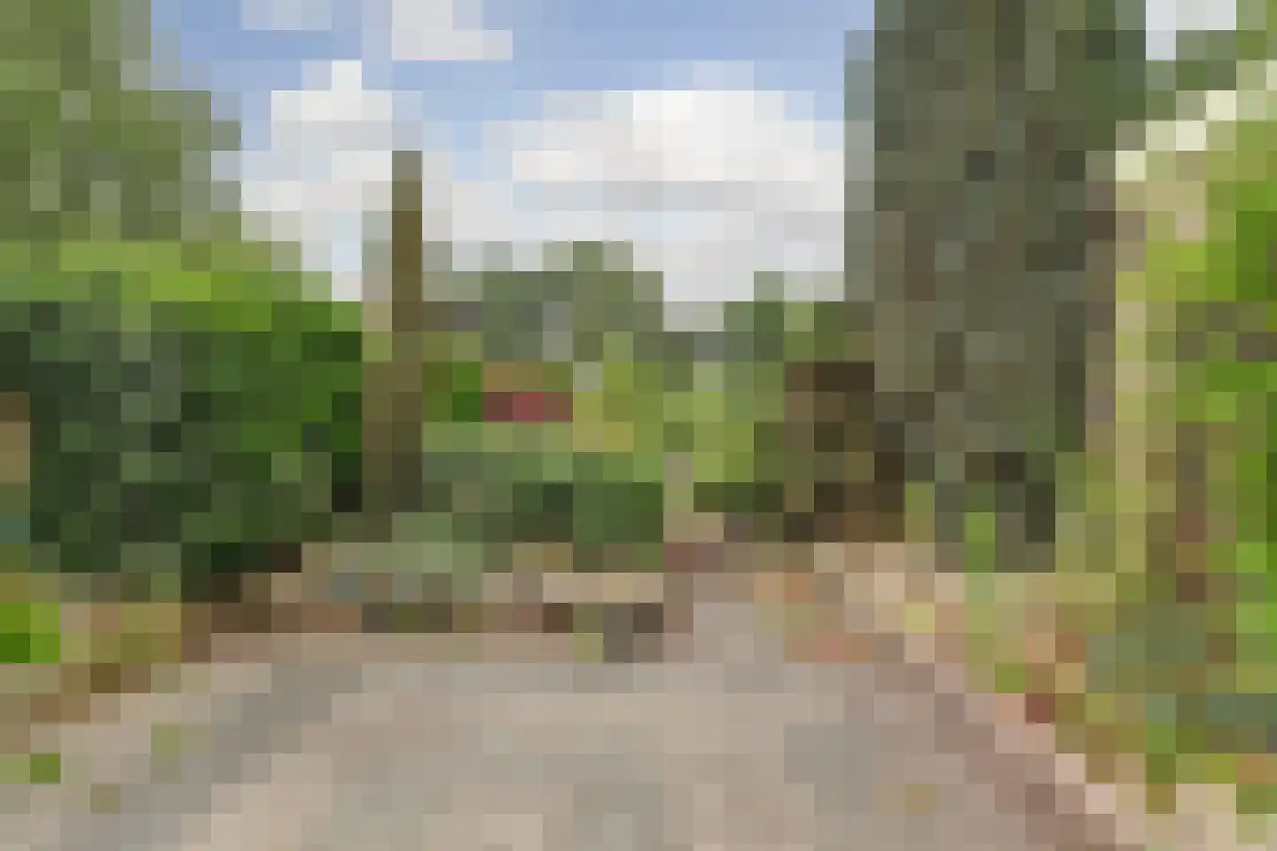 Riegheide 58 Rolde thumbnail 4