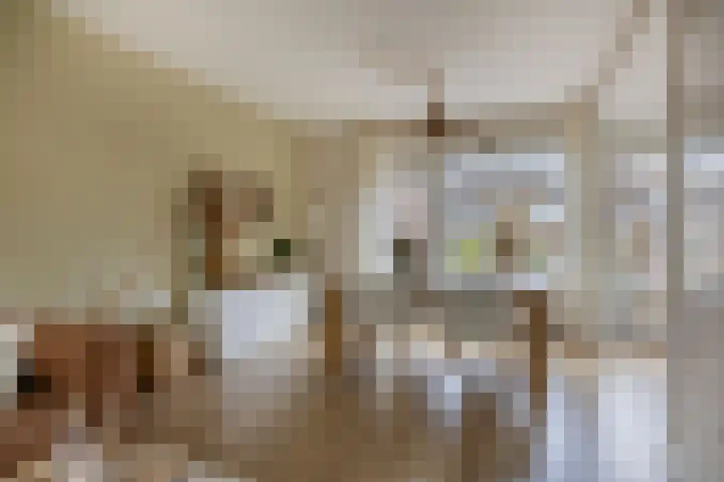 Riegheidestraat 29 Hollandscheveld thumbnail 10
