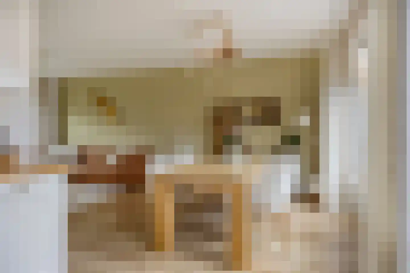 Riegheidestraat 29 Hollandscheveld thumbnail 11