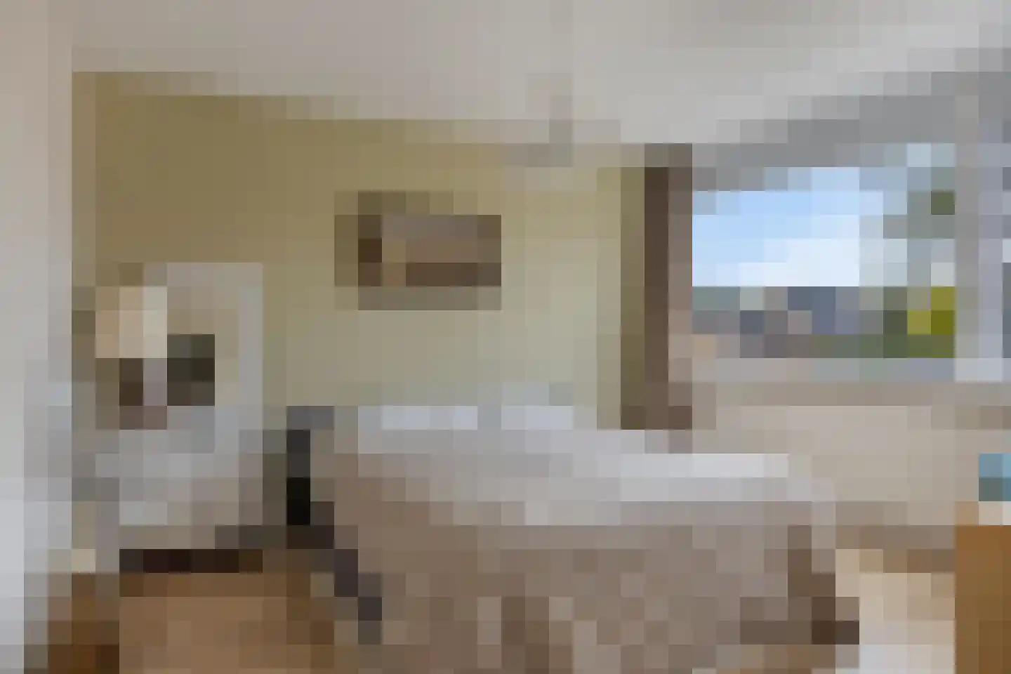 Riegheidestraat 29 Hollandscheveld thumbnail 22
