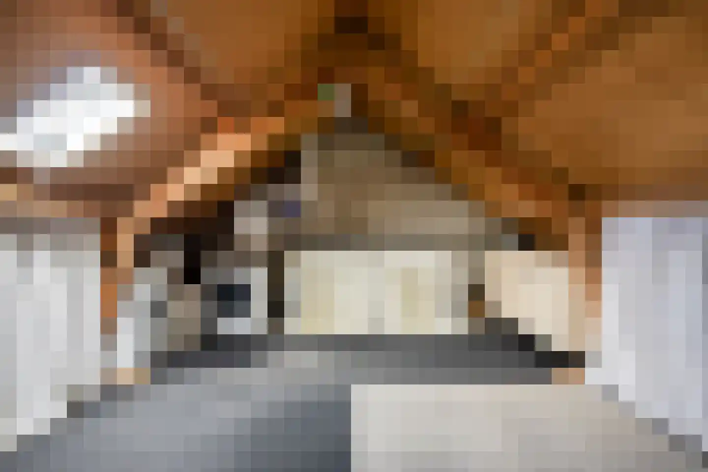 Riegheidestraat 29 Hollandscheveld thumbnail 27