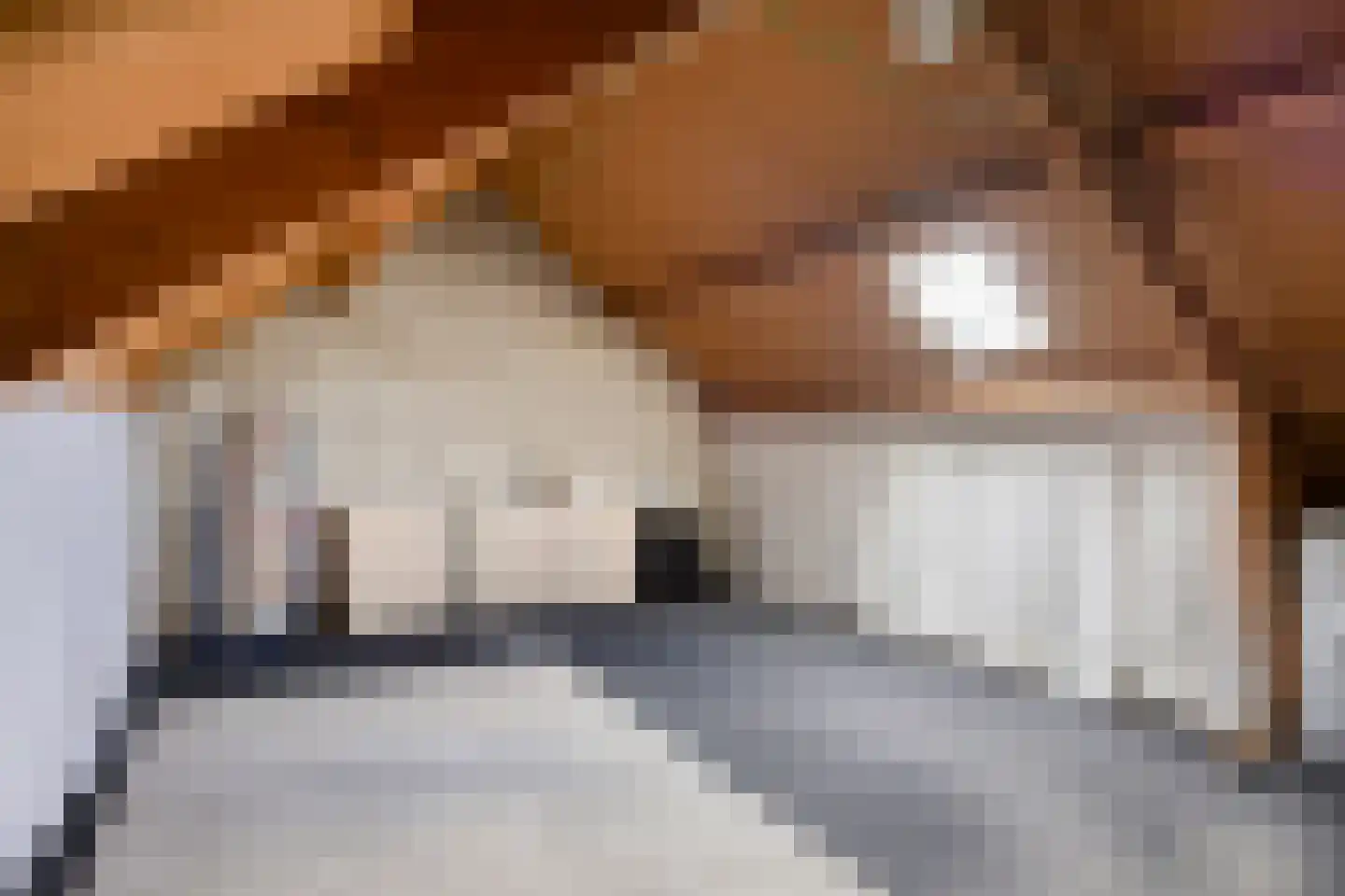 Riegheidestraat 29 Hollandscheveld thumbnail 28
