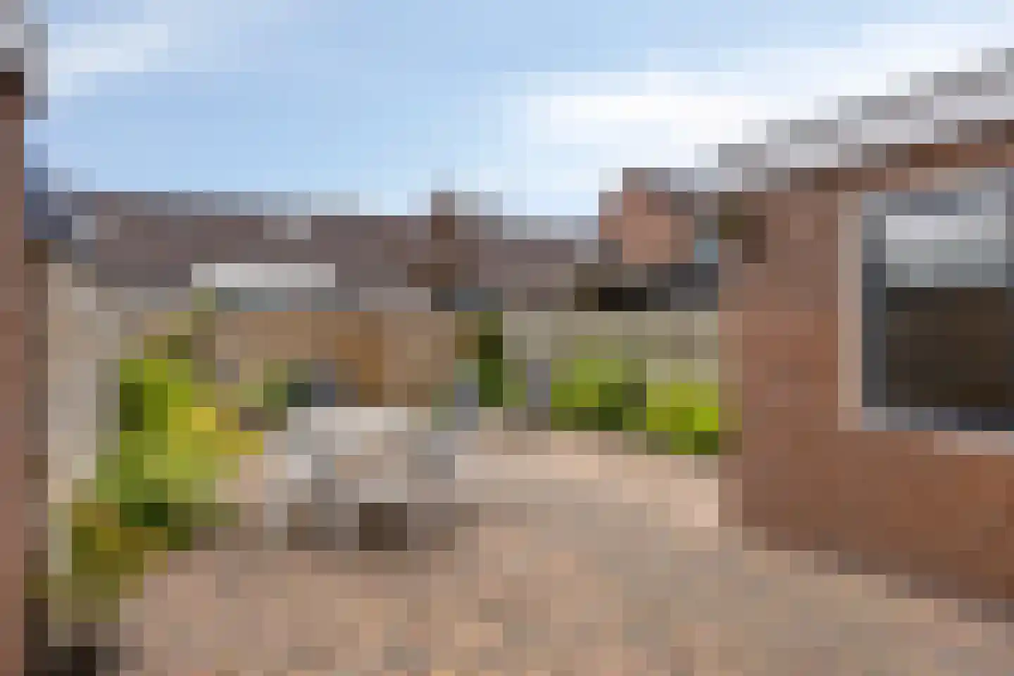 Riegheidestraat 29 Hollandscheveld thumbnail 29