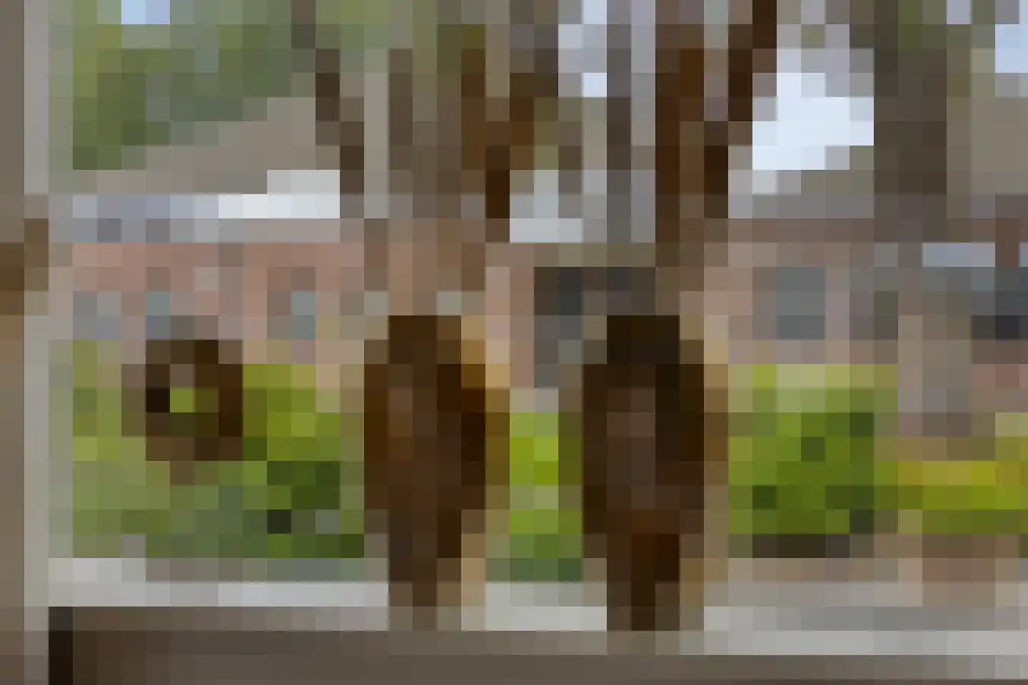 Riegheidestraat 29 Hollandscheveld thumbnail 5