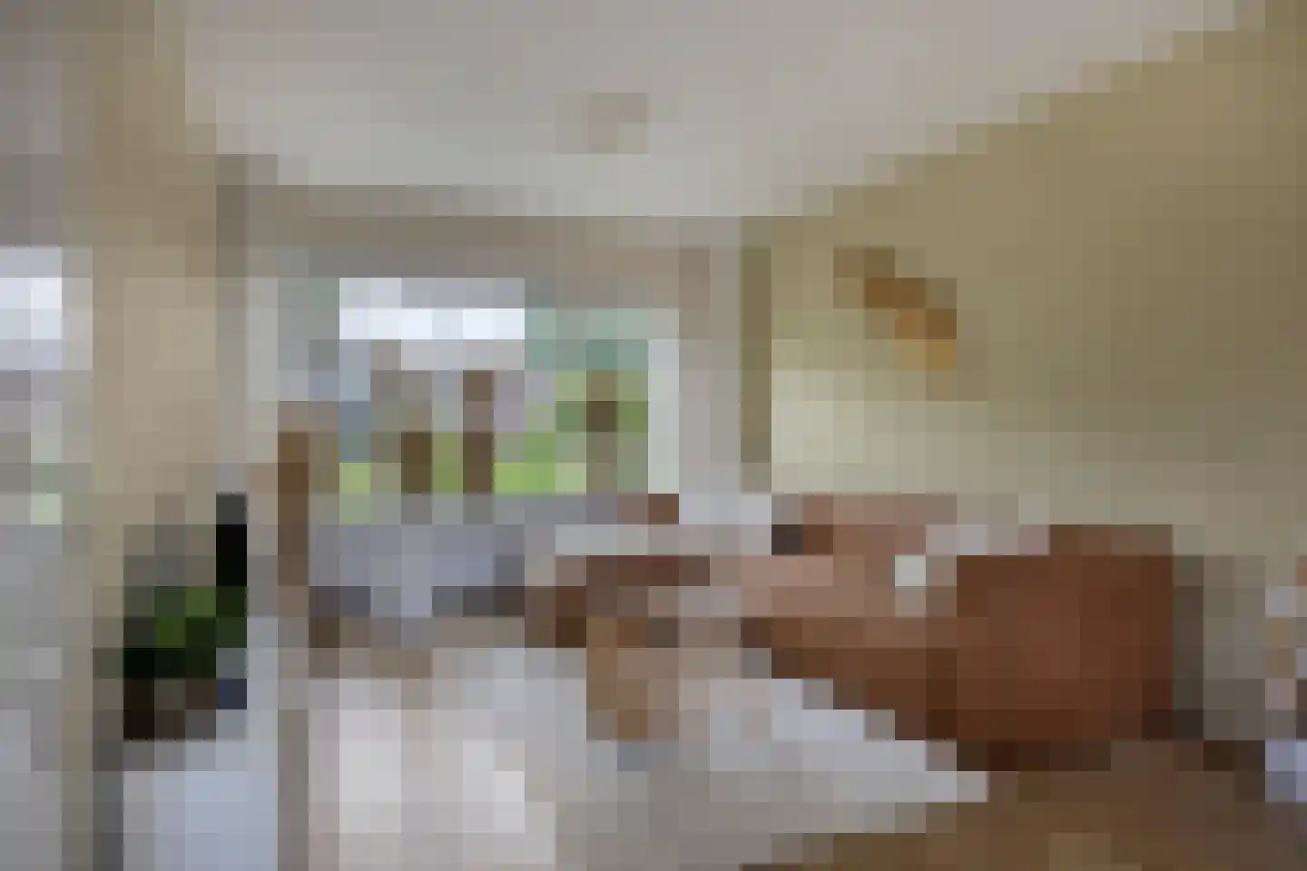 Riegheidestraat 29 Hollandscheveld thumbnail 6