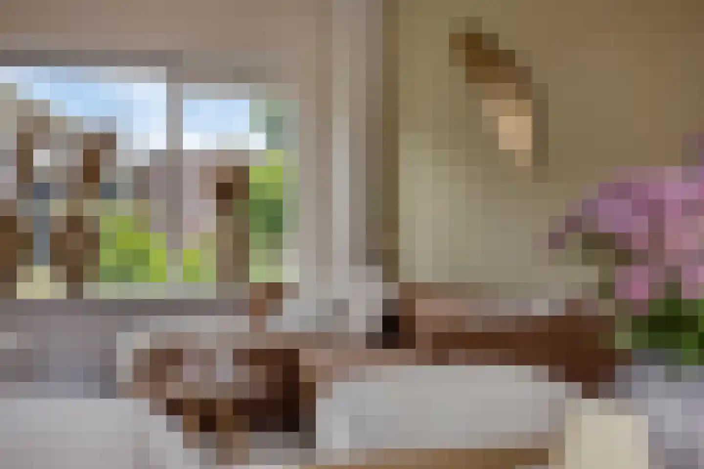 Riegheidestraat 29 Hollandscheveld thumbnail 7