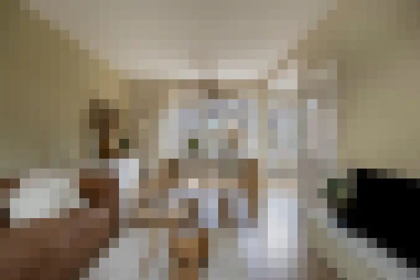Riegheidestraat 29 Hollandscheveld thumbnail 9