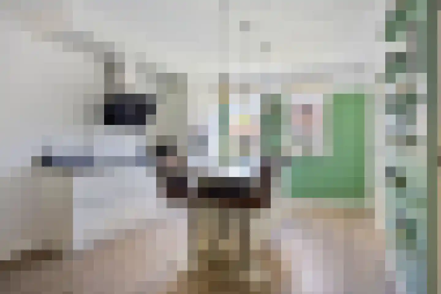 Riegheidestraat 53 Hollandscheveld thumbnail 10