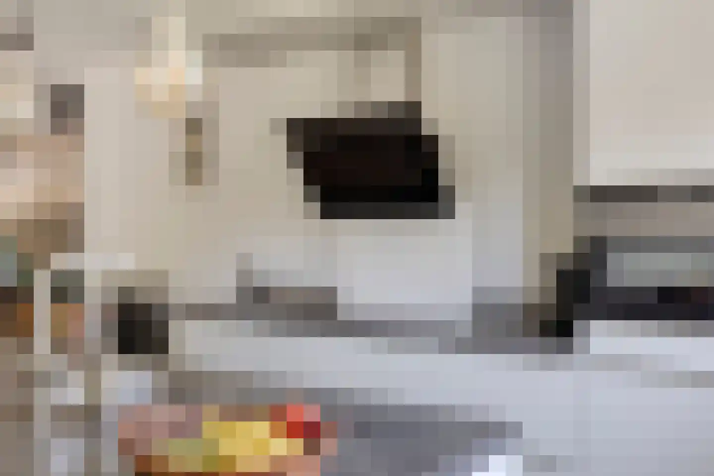 Riegheidestraat 53 Hollandscheveld thumbnail 14