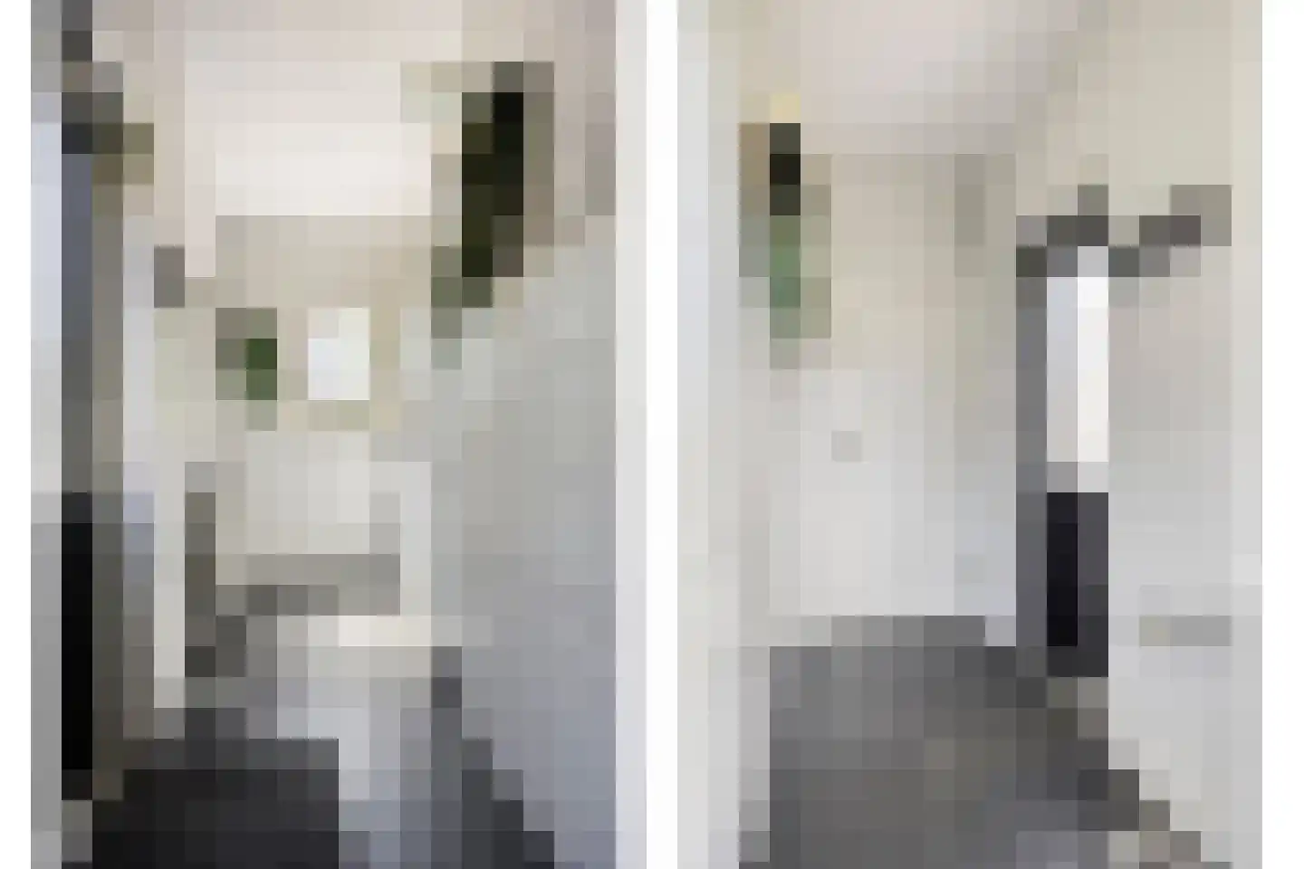 Riegheidestraat 53 Hollandscheveld thumbnail 18