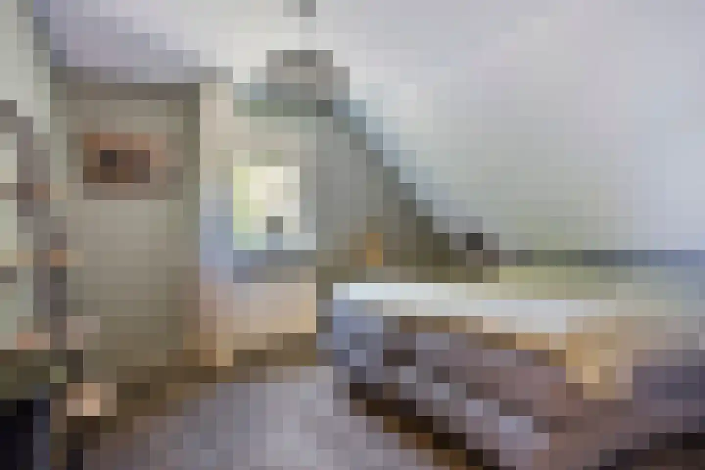 Riegheidestraat 53 Hollandscheveld thumbnail 23