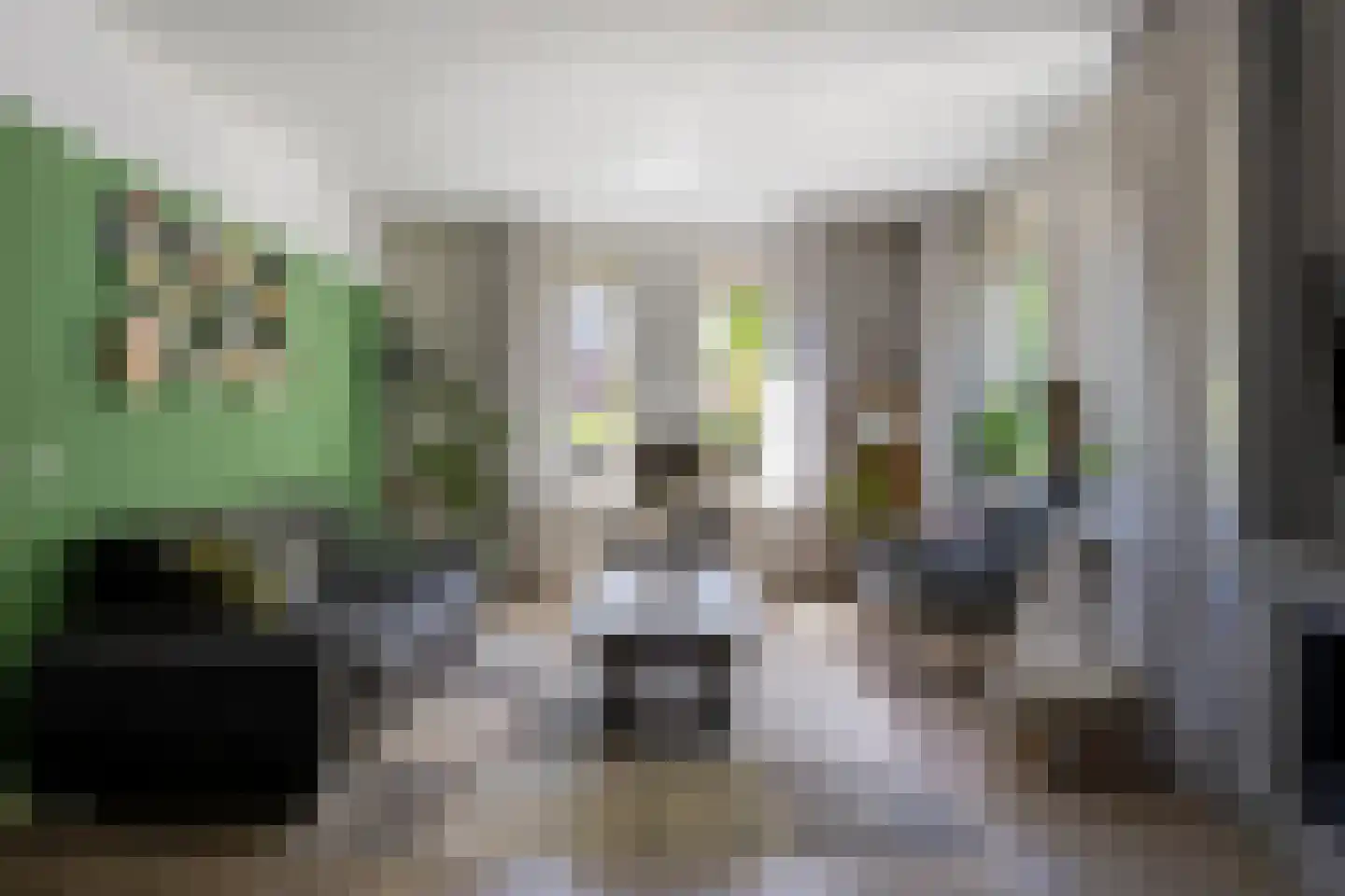 Riegheidestraat 53 Hollandscheveld thumbnail 4