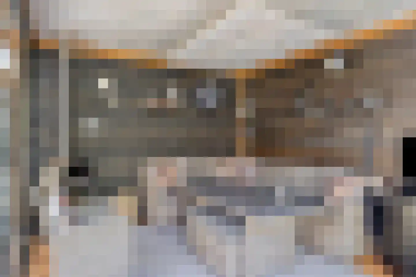 Riegheidestraat 53 Hollandscheveld thumbnail 40