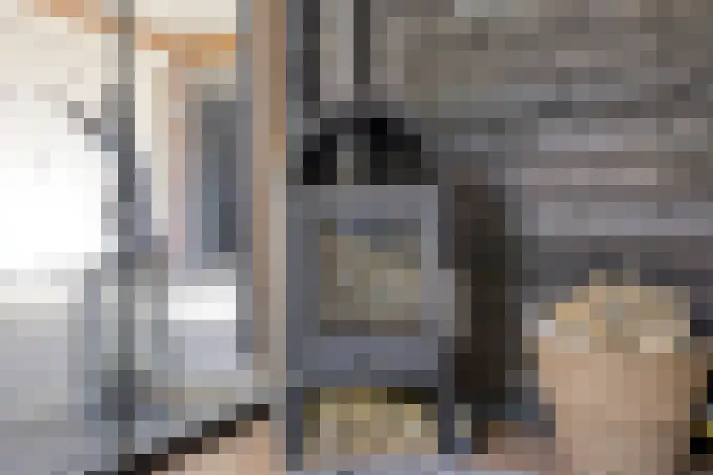 Riegheidestraat 53 Hollandscheveld thumbnail 42