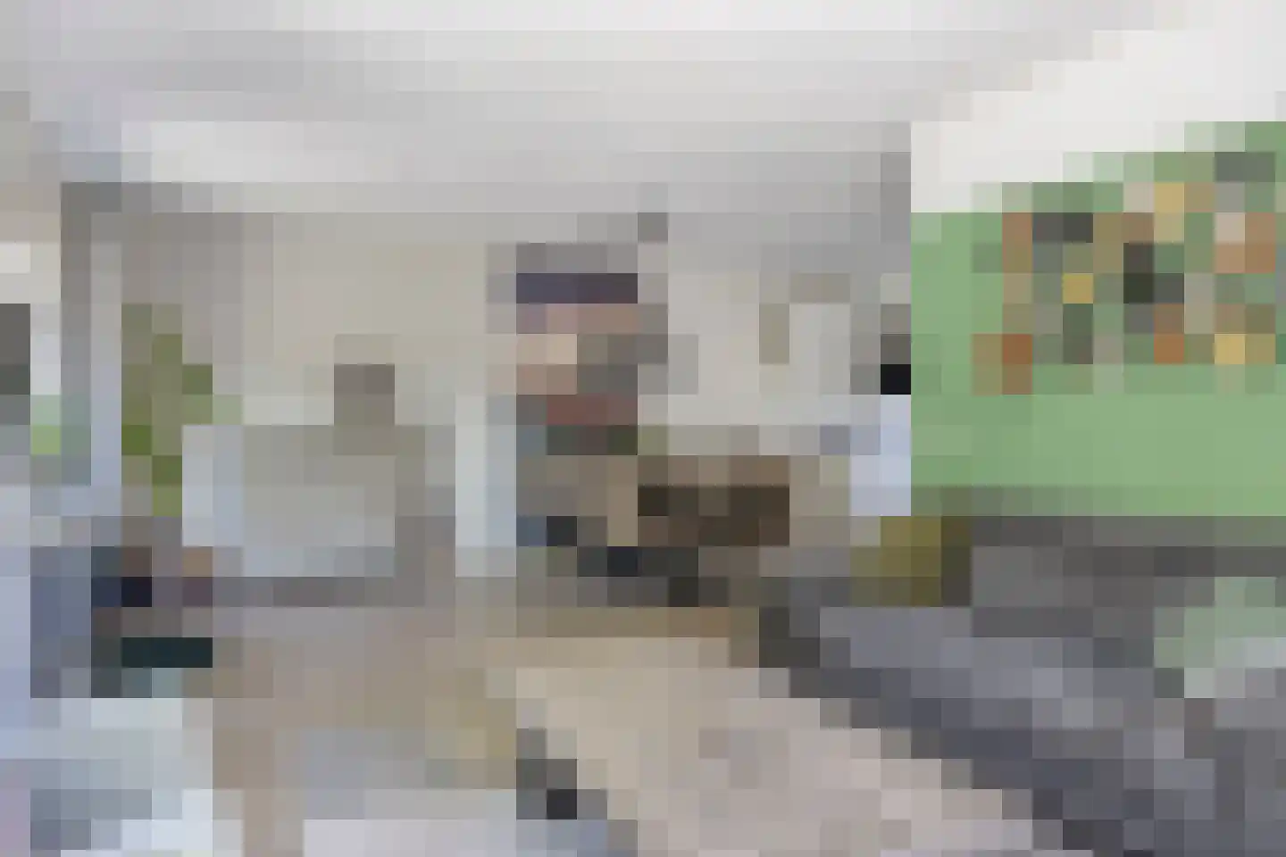 Riegheidestraat 53 Hollandscheveld thumbnail 6