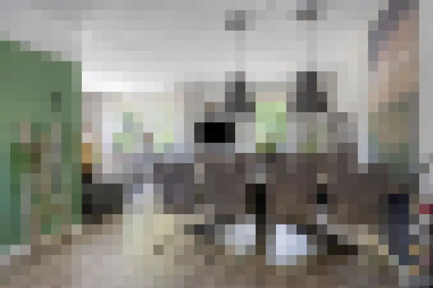 Riegheidestraat 53 Hollandscheveld thumbnail 8