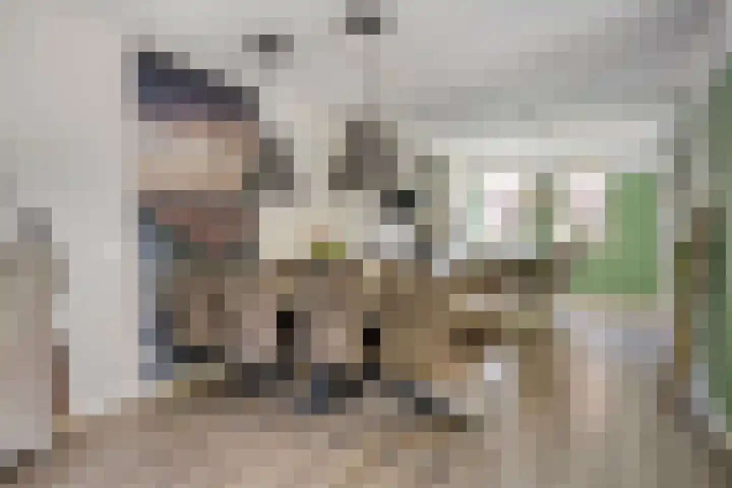 Riegheidestraat 53 Hollandscheveld thumbnail 9