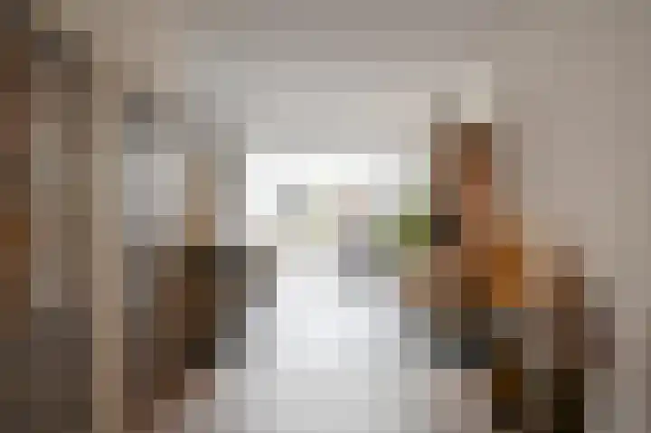 Riegheidestraat 55 Hollandscheveld thumbnail 12
