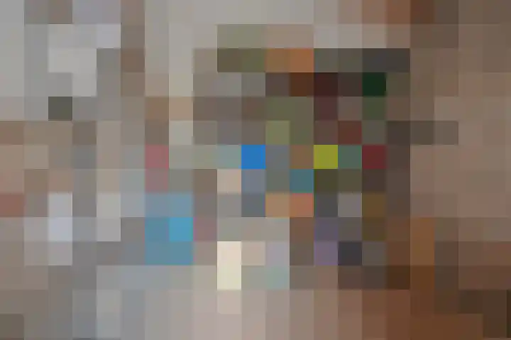 Riegheidestraat 55 Hollandscheveld thumbnail 34