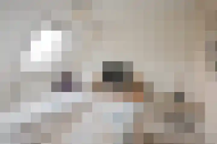 Riegheidestraat 55 Hollandscheveld thumbnail 37