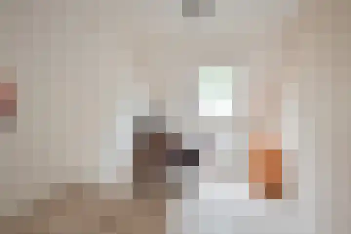 Riegheidestraat 55 Hollandscheveld thumbnail 49