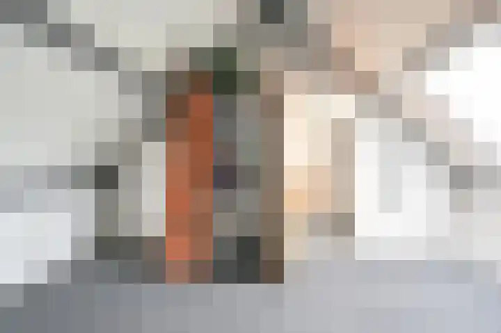 Riegheidestraat 55 Hollandscheveld thumbnail 56