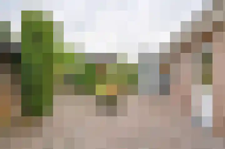 Riegheidestraat 55 Hollandscheveld thumbnail 60