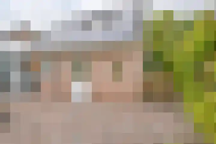 Riegheidestraat 55 Hollandscheveld thumbnail 61