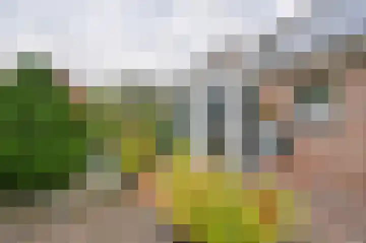 Riegheidestraat 55 Hollandscheveld thumbnail 62