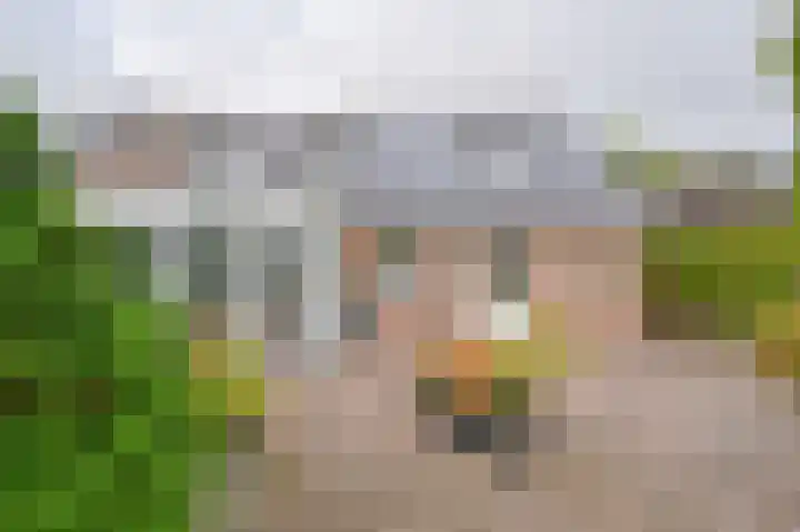 Riegheidestraat 55 Hollandscheveld thumbnail 63