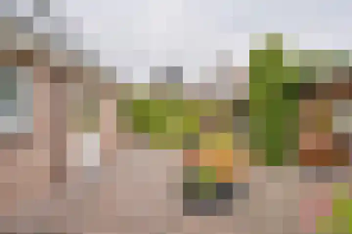 Riegheidestraat 55 Hollandscheveld thumbnail 65