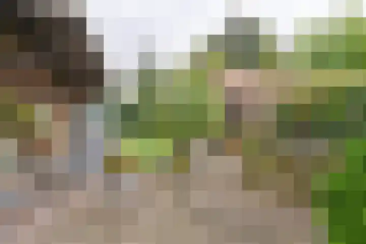 Riegheidestraat 55 Hollandscheveld thumbnail 66
