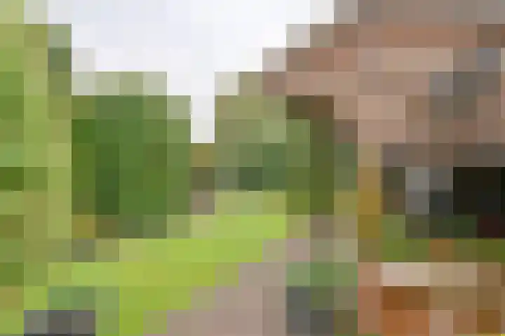 Riegheidestraat 55 Hollandscheveld thumbnail 68