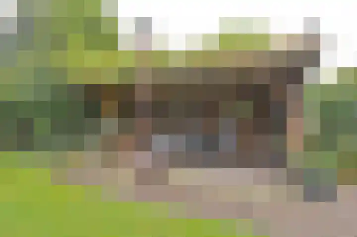 Riegheidestraat 55 Hollandscheveld thumbnail 69