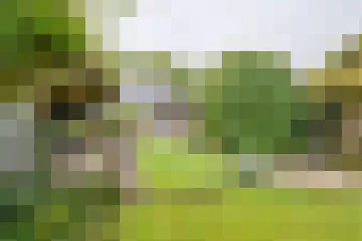 Riegheidestraat 55 Hollandscheveld thumbnail 70
