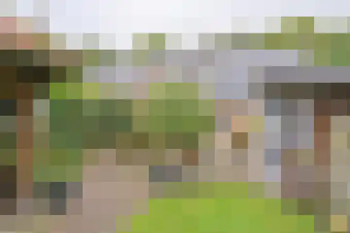 Riegheidestraat 55 Hollandscheveld thumbnail 72