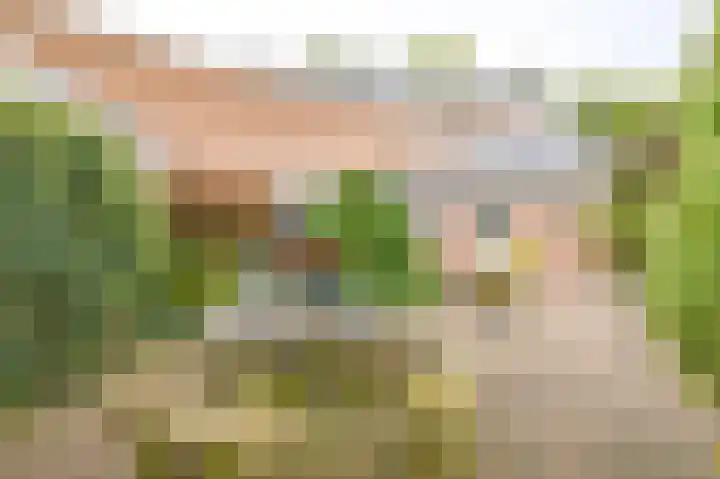 Riegheidestraat 55 Hollandscheveld thumbnail 73