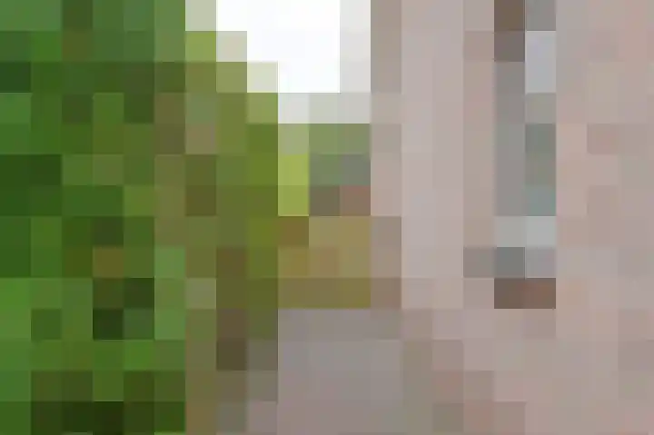 Riegheidestraat 55 Hollandscheveld thumbnail 74