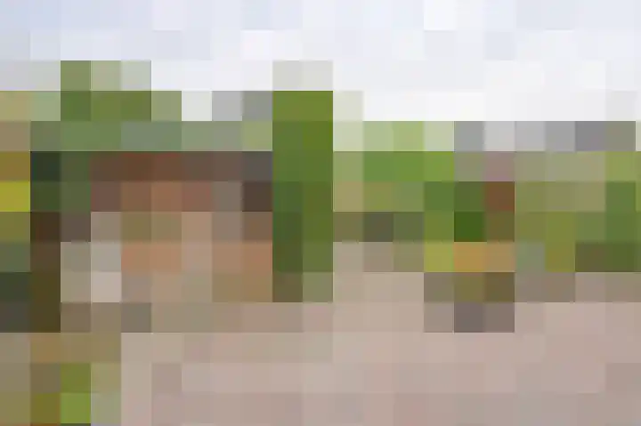 Riegheidestraat 55 Hollandscheveld thumbnail 75