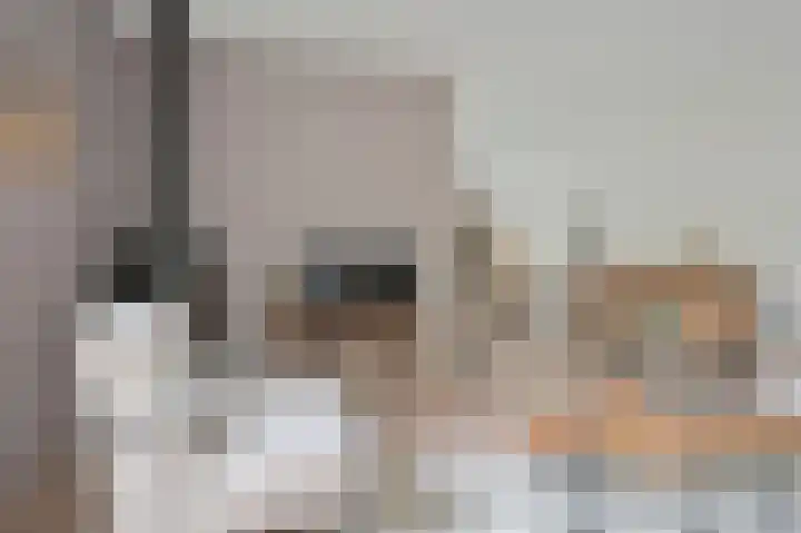 Riegheidestraat 55 Hollandscheveld thumbnail 8