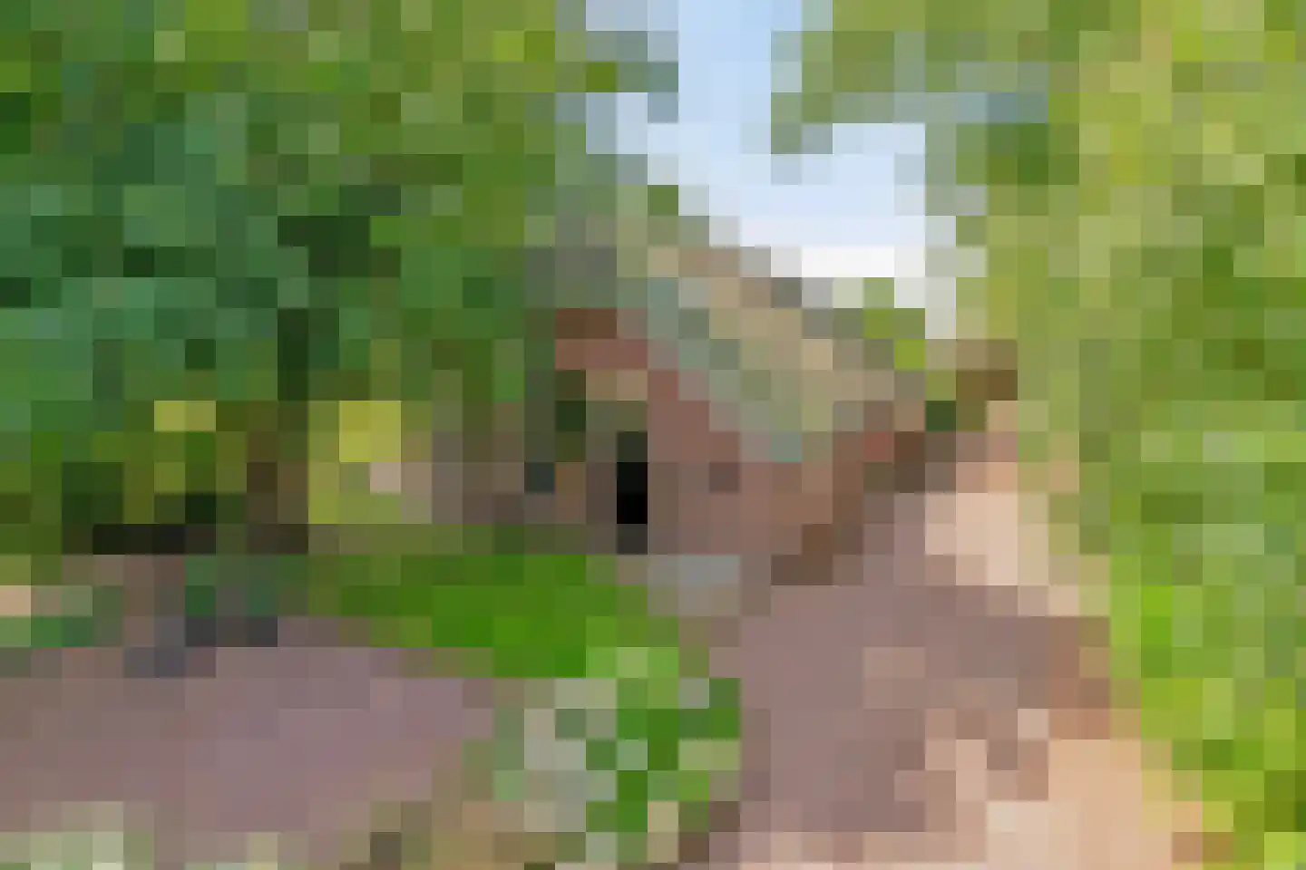 Riegshoogtendijk 176 Hollandscheveld thumbnail 10