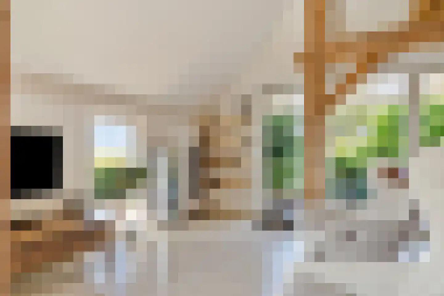 Riegshoogtendijk 176 Hollandscheveld thumbnail 18