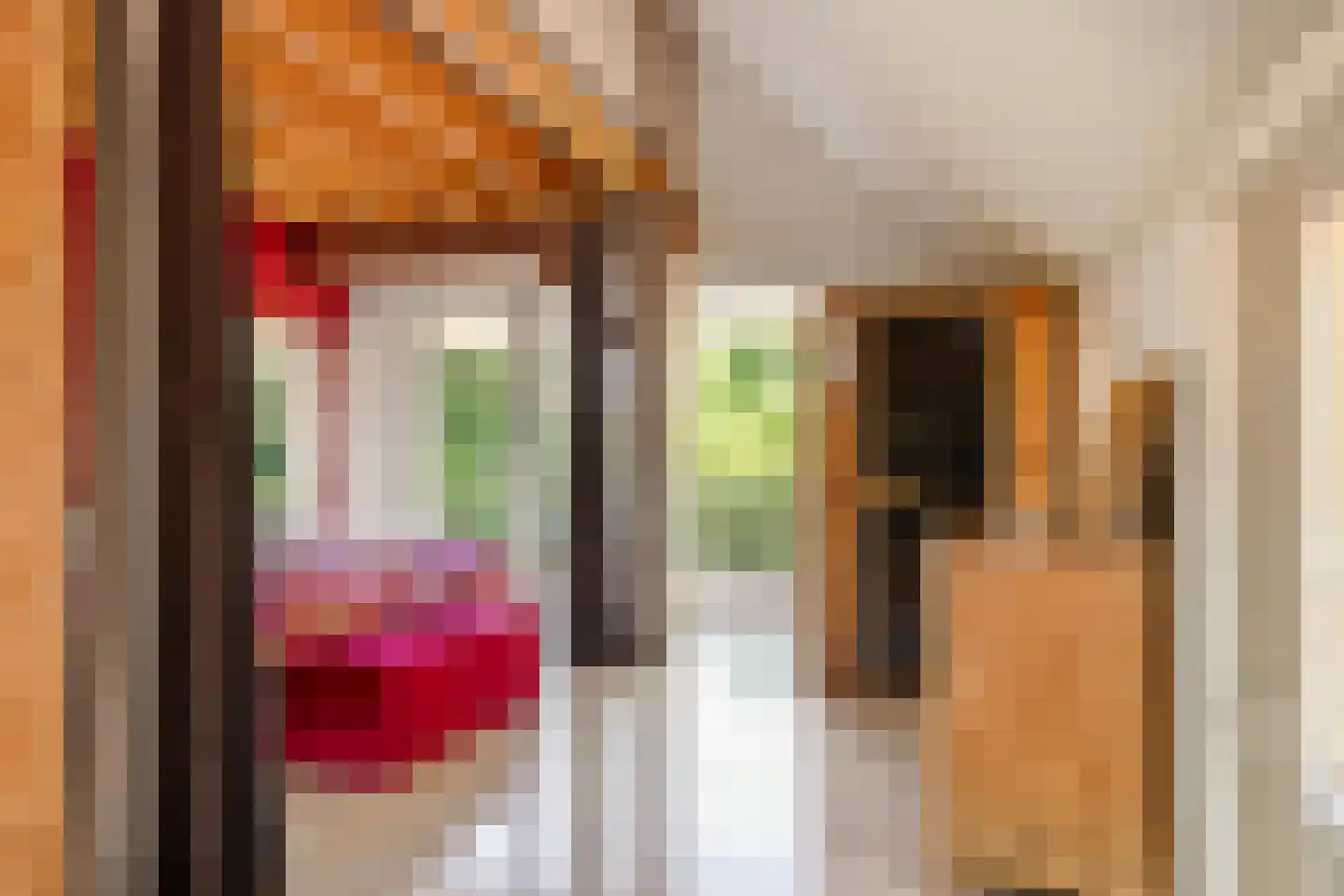 Riegshoogtendijk 176 Hollandscheveld thumbnail 29