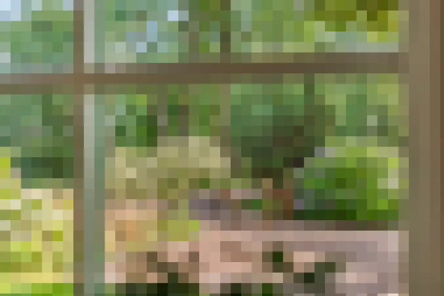 Riegshoogtendijk 176 Hollandscheveld thumbnail 35