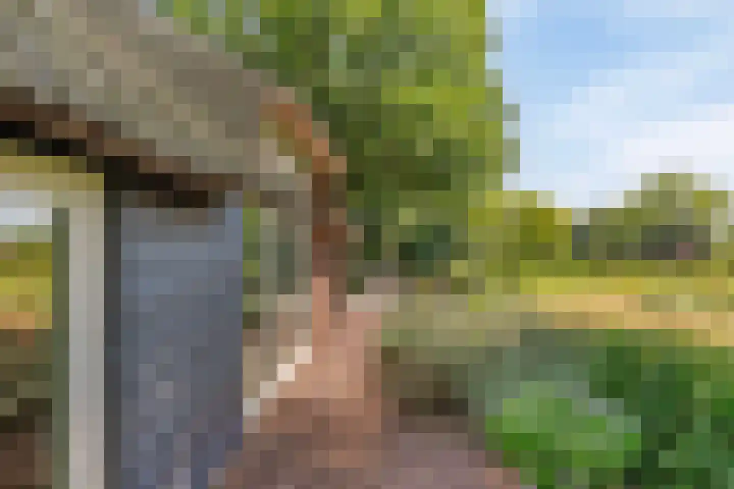 Riegshoogtendijk 176 Hollandscheveld thumbnail 46