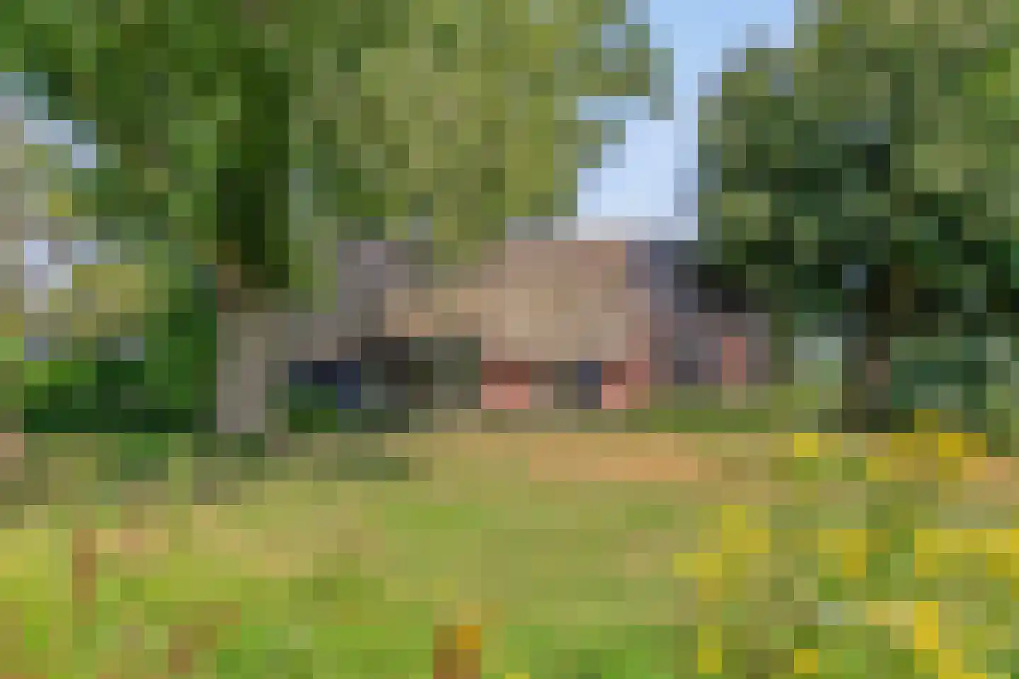 Riegshoogtendijk 176 Hollandscheveld thumbnail 47