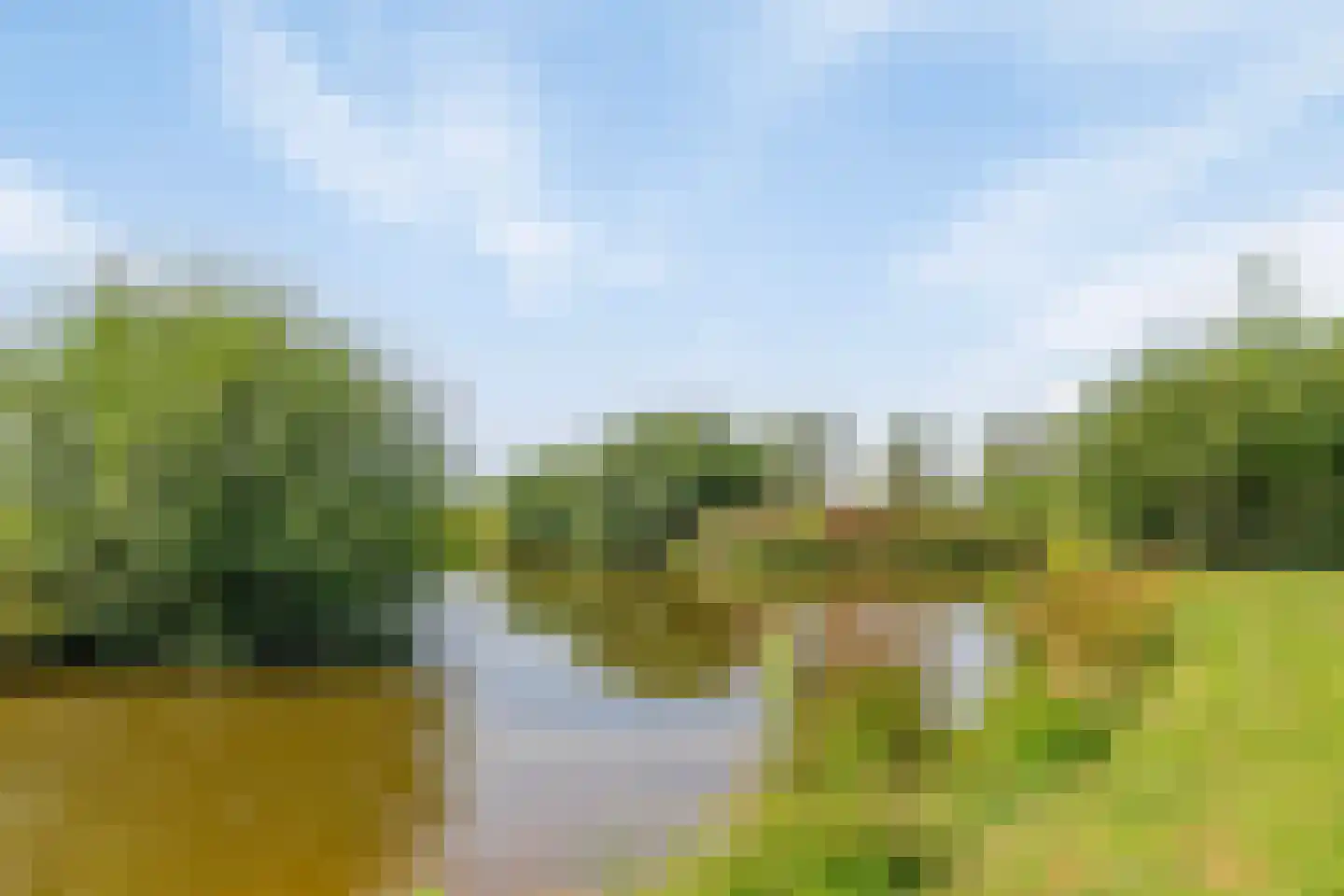 Riegshoogtendijk 176 Hollandscheveld thumbnail 50